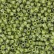 Miyuki delica Beads 11/0 - Opaque luster cactus DB-263 